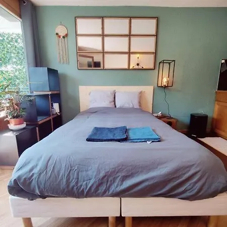 Apartment Vue Monblanc Incroyable Inout Prarion5 Les Houches