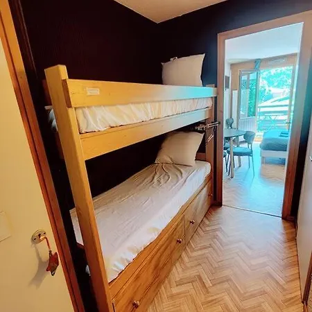 Vue Monblanc Incroyable Inout Prarion5 * Les Houches